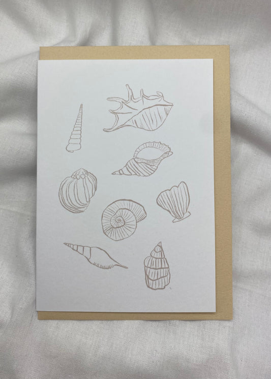 Seashells Card